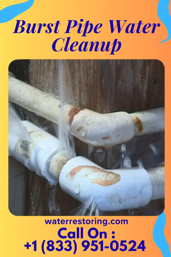 Burst Pipe Water Cleanup in Four Oaks, NC
