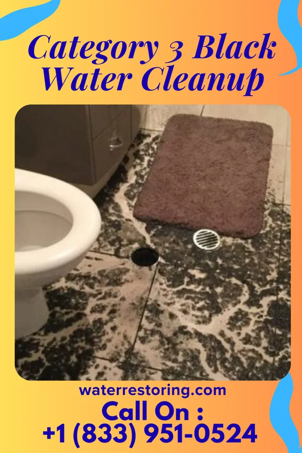 Category 3 Black Water Cleanup in Four Oaks, NC