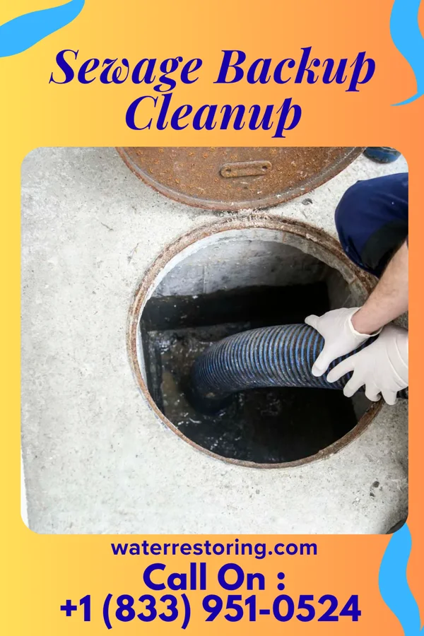 Sewage Backup Cleanup in Four Oaks, NC